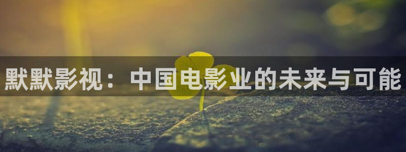 小小影视大全高清版：默默影视：中国电影业的未来与可能