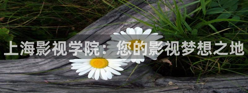 小小影视电脑版官网：上海影视学院：您的影视梦想之地