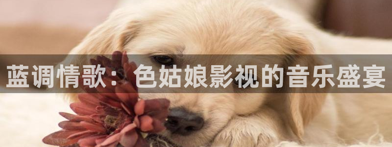 小小影视电影下载：蓝调情歌：色姑娘影视的音乐盛宴