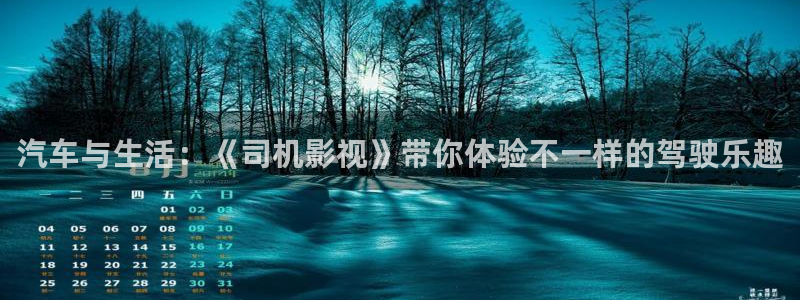 小小影视免费在线观看最新电影：汽车与生活：《司机影视》带你体验不一样的驾驶乐趣
