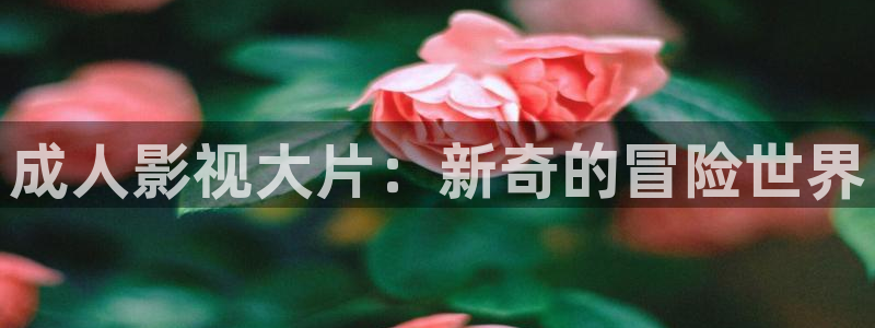 小小影音在线：成人影视大片：新奇的冒险世界