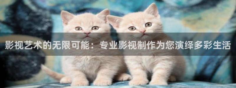 小小影视下载免费苹果：影视艺术的无限可能：专业影视制作为您演绎多彩生活