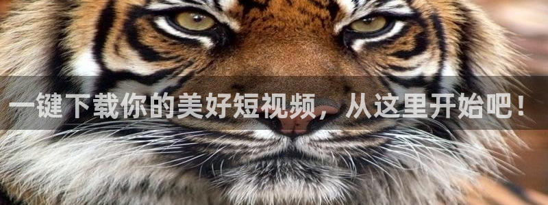 小小影剧：一键下载你的美好短视频，从这里开始吧！