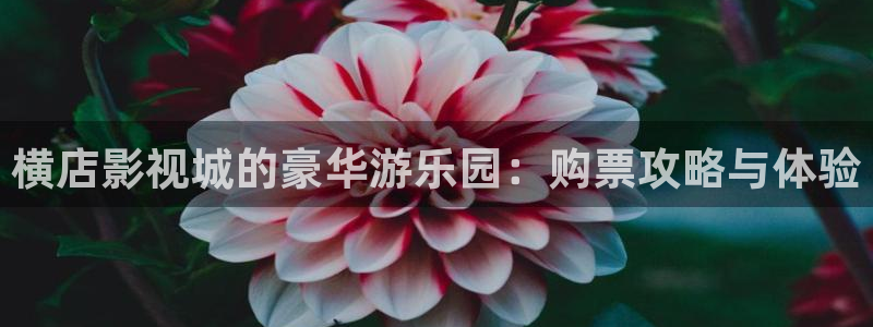 小小影视在哪里下载：横店影视城的豪华游乐园：购票攻略与体验