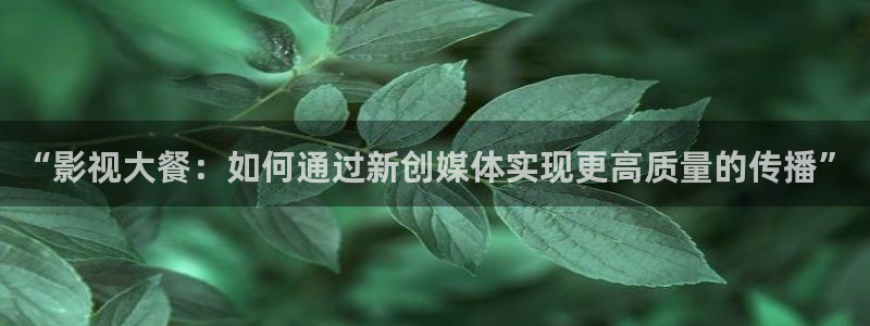 小小影视在线观看：“影视大餐：如何通过新创媒体实现更高质量的传播”