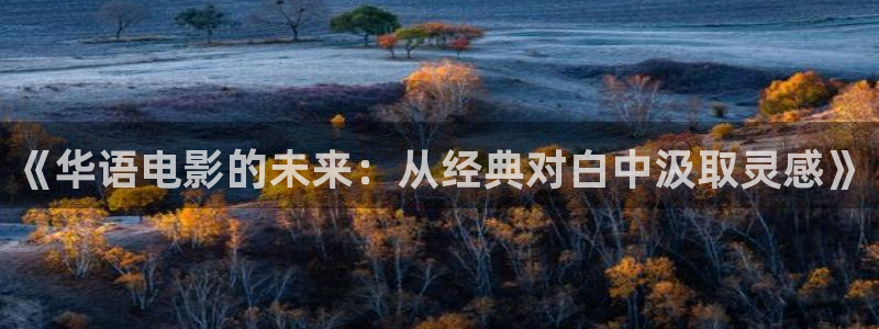 下载小小影视官网：《华语电影的未来：从经典对白中汲取灵感》